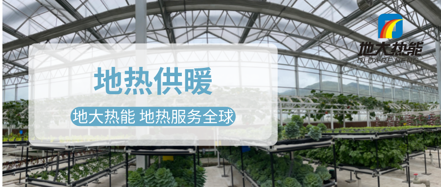 發(fā)揮地?zé)豳Y源優(yōu)勢(shì)，地?zé)徂r(nóng)業(yè)實(shí)現(xiàn)花卉產(chǎn)業(yè)特色發(fā)展 | 地大熱能 地?zé)岱?wù)全球