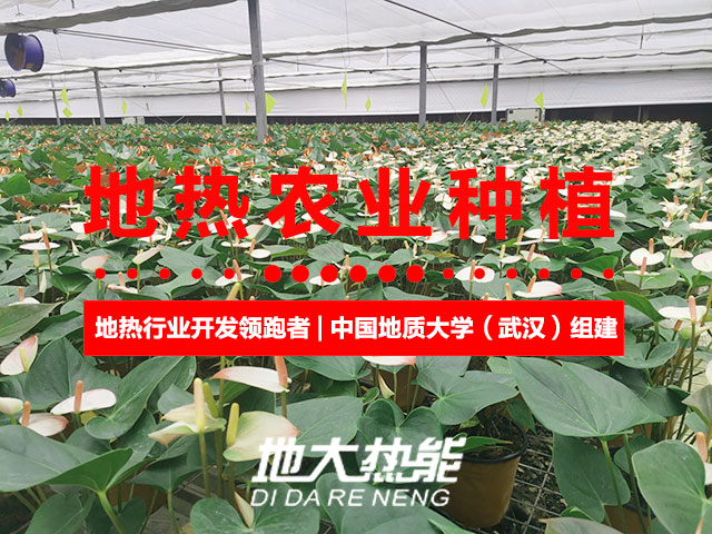 濟南：“地熱能+農(nóng)業(yè)”產(chǎn)業(yè)融合，讓地熱能真正“熱”起來-地大熱能